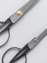 Tanehasami (scissors)