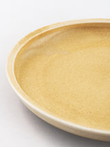 Curry plate M