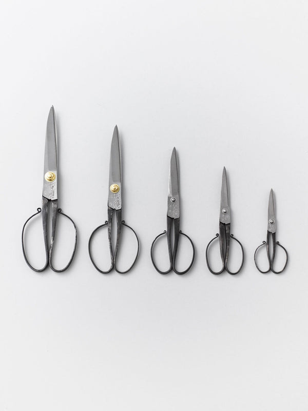 Tanehasami (scissors)